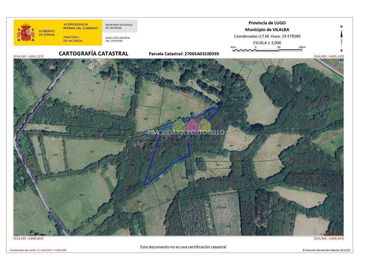 Oportunidad en Vilalba - Finca rústica con aprovechamiento forestal