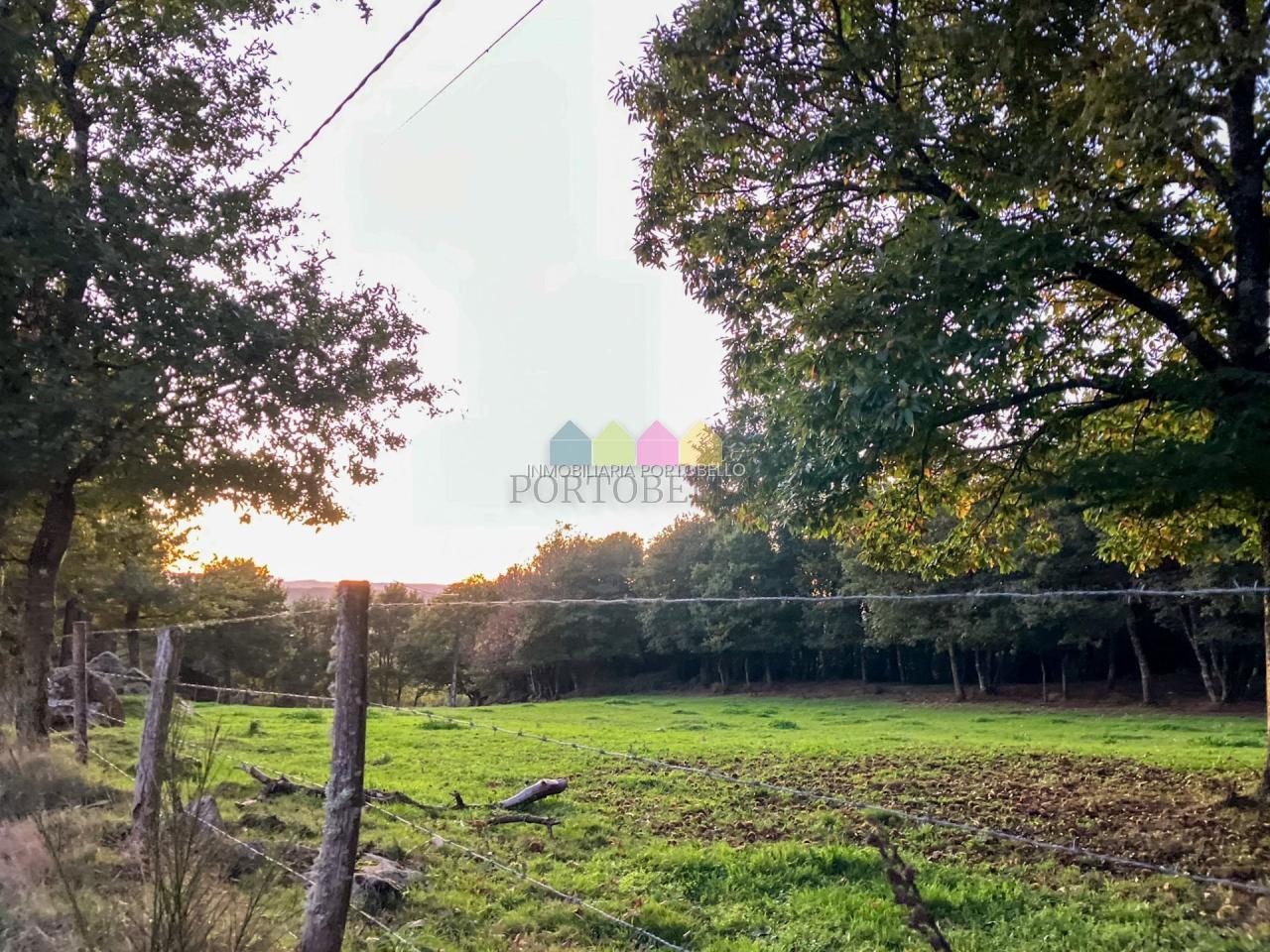 Finca rústica con encanto y buena ubicación en Villalba, Lugo